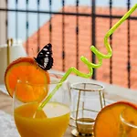 Arijana 2 아파트 슬라티네